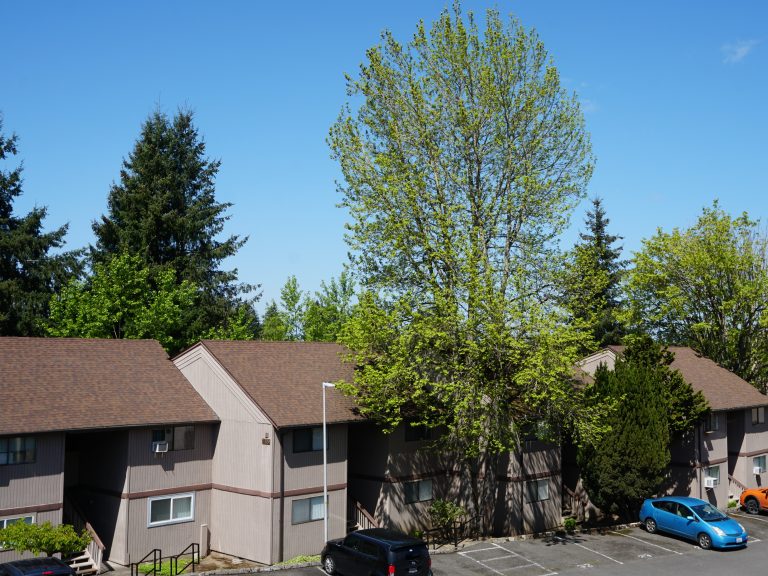 Ridgecrest Apartments Bright Apartments