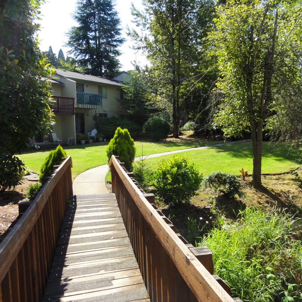 Clark Creek Apartments Bright Apartments