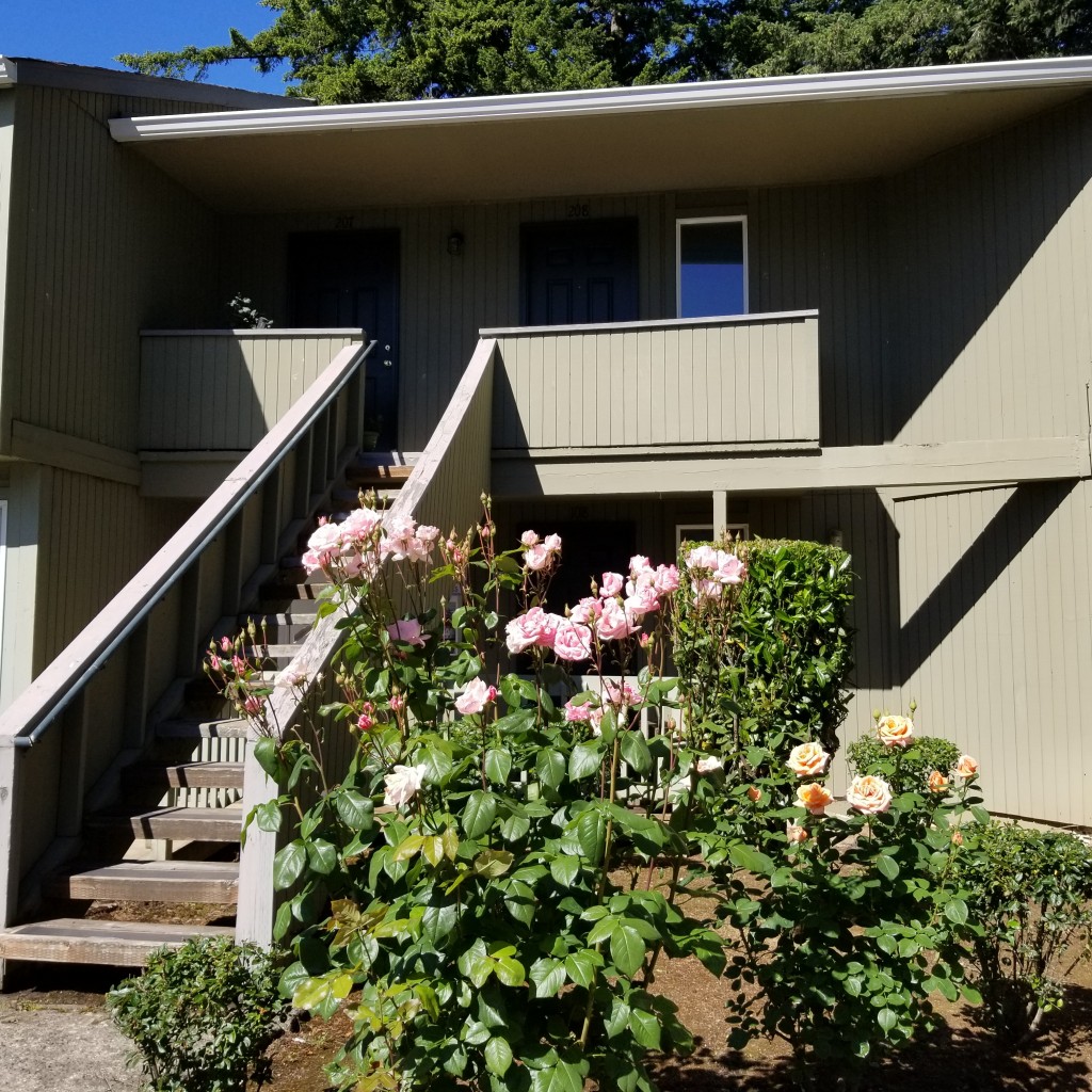 Kelly Green Apartments Bright Apartments