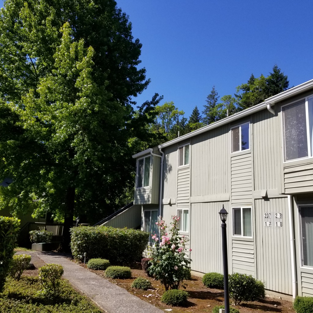 Kelly Green Apartments Bright Apartments