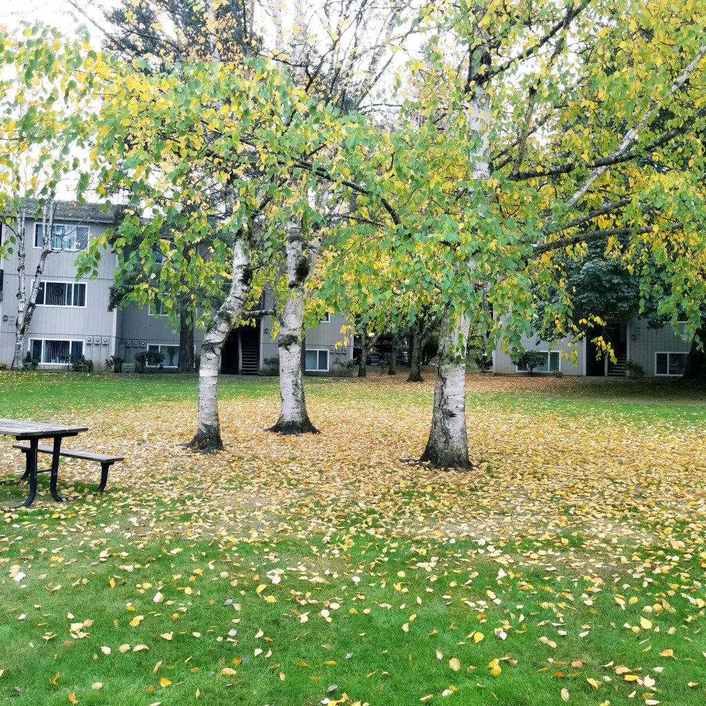 Hood Center Apartments Bright Apartments