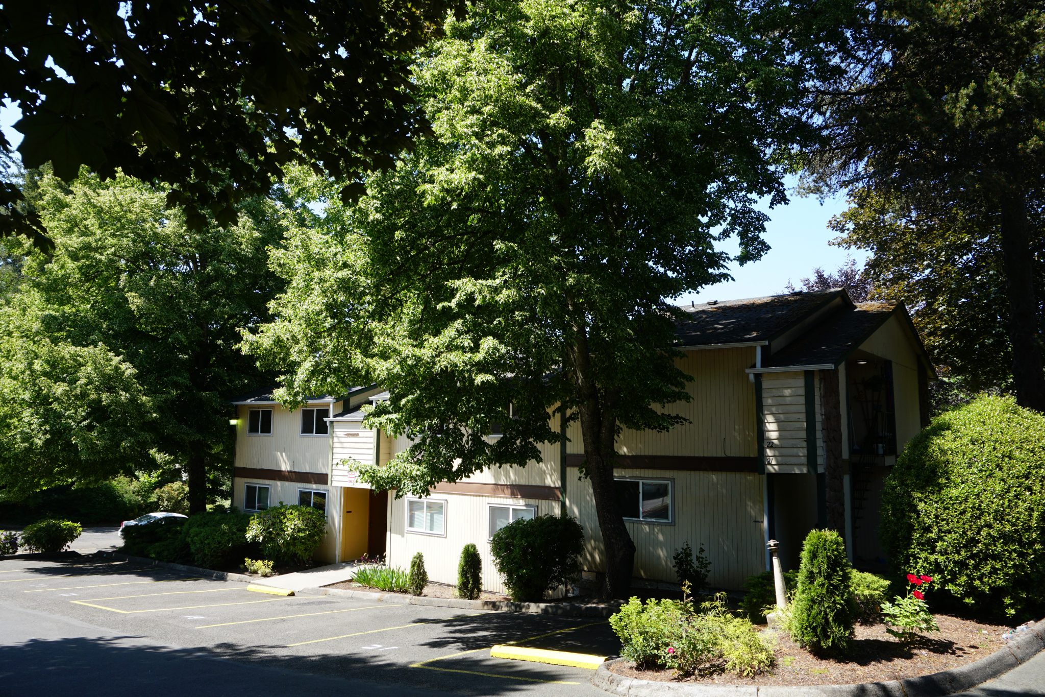 Parkview Terrace Bright Apartments