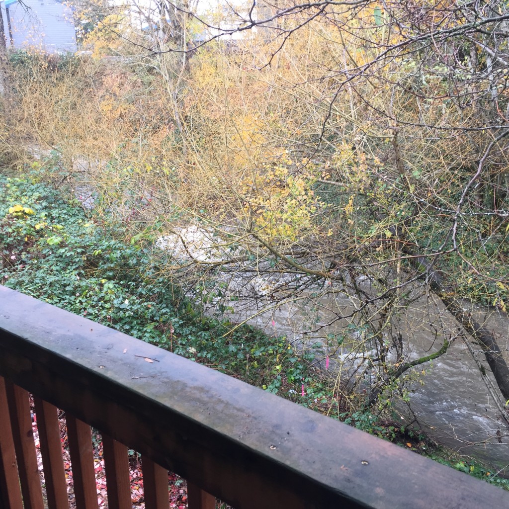 Brookside Apartments Bright Apartments